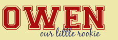 baby nursery vinyl wall lettering wallwords art