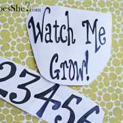 Growth-Chart-vinyl lettering