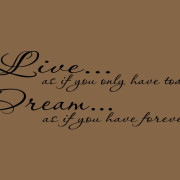 Live as if you only have today Dream vinyl lettering
