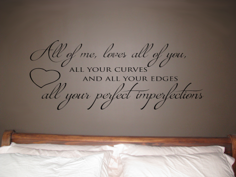 VWAQ Grow Old Along with Me Wall Decal Couples Love Bedroom Wall Quote Stickers Matte Black, 10H X 25W 